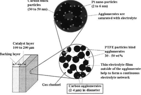 Figure 3-3:  Illustration of carbon agglomerates  within catalyst  layer of  PCE  191