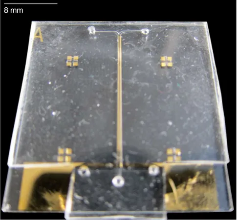 Figure 2-3: Microfluidic devices are commonly made from PDMS since it can be rapidly prototyped using photolithography