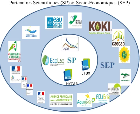 Figure 1 : Schéma des différents partenaires scientifiques et socio-économiques de Pestipond (Probst, 2019)