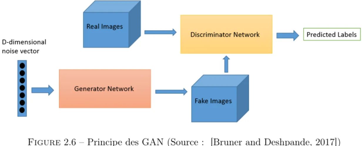 Figure 2.6 – Principe des GAN (Source : [Bruner and Deshpande, 2017]) .