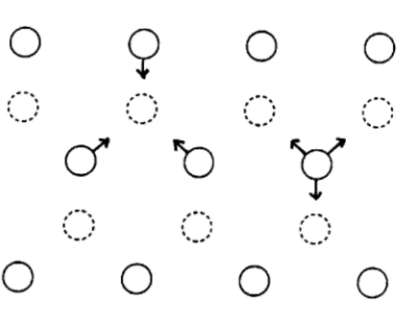 Figure  1.4:  Hole pattern  on  perforated  discs.  Solid  lines represent  holes on  the  upper  disc while dashed  lines represent  holes  on the  lower  disc.