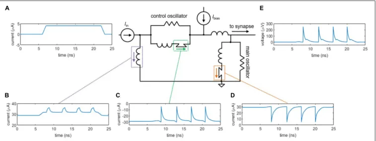 FIGURE 2 | Circuit simulations of the two-nanowire soma, where the two oscillators act analogously to the two ion channels in the simplified neuron model