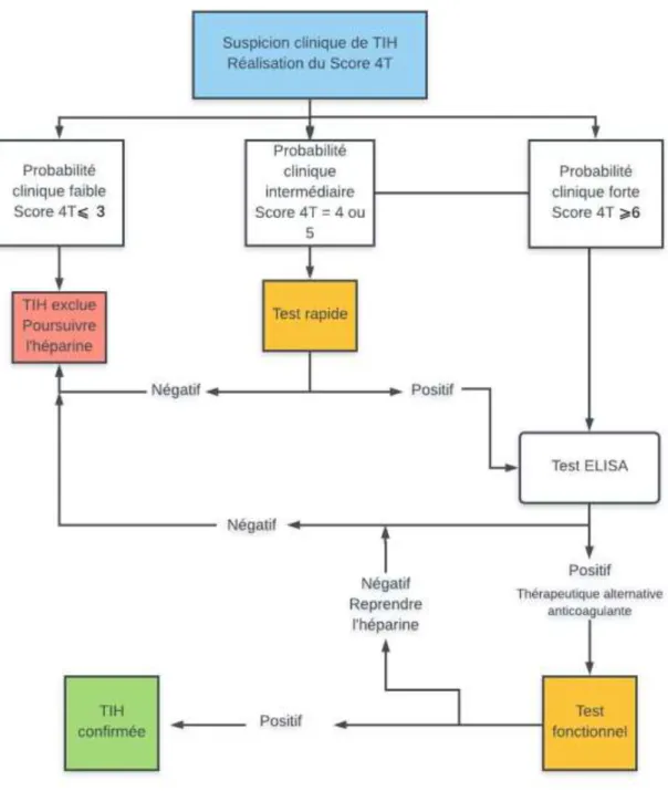 Figure 2 : Algorithme pour le diagnostic de TIH 