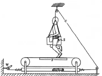 Figure  3-21.  Device  to test the mechanics  of running under  simulated low gravity  [41].