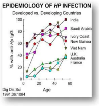 Figure 4 : Epidémiologie de l’infection à  Helicobacter pylori  (Source : Malaty 2007)