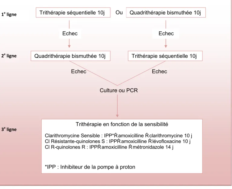 Figure 13 : Algorithme des 3 lignes de traitements de l’infection à  Helicobacter pylori   (D'après : Delchier  2012).
