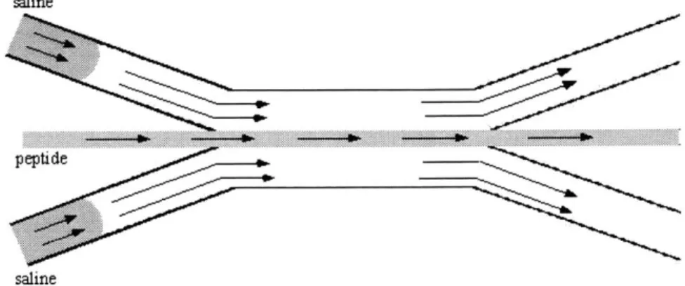 Figure 2.3.  Saline  solution is added  to the side channel  flow.