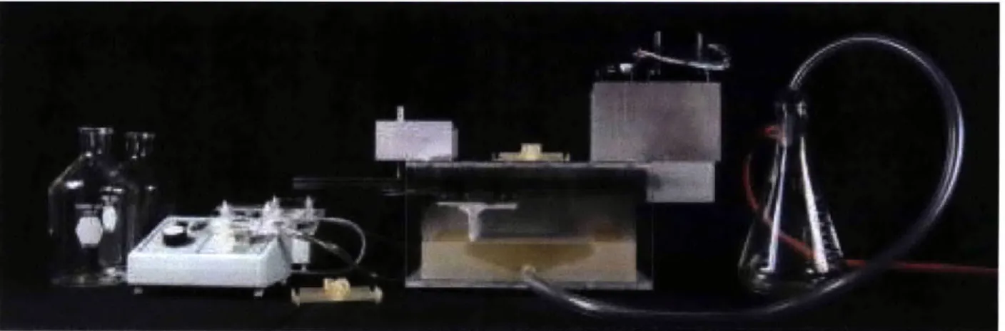 Figure 1 Complete Linear Filtration  Device  Setup