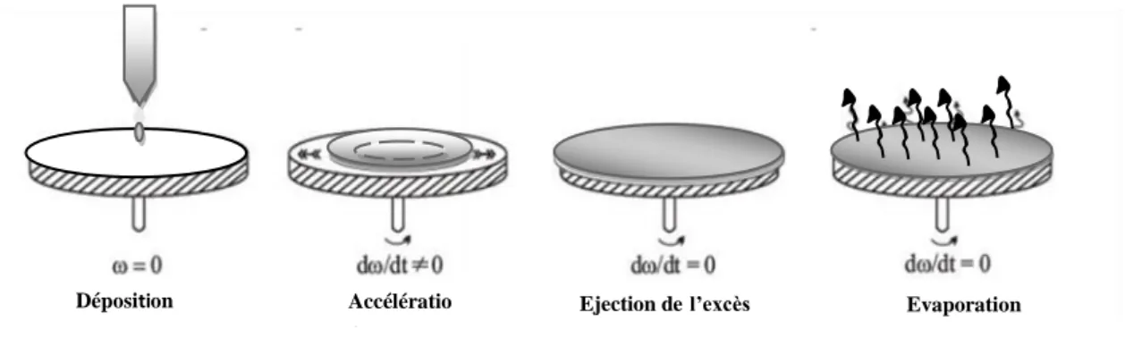Figure II.4  Les étapes de dépôt par spin-coating.  