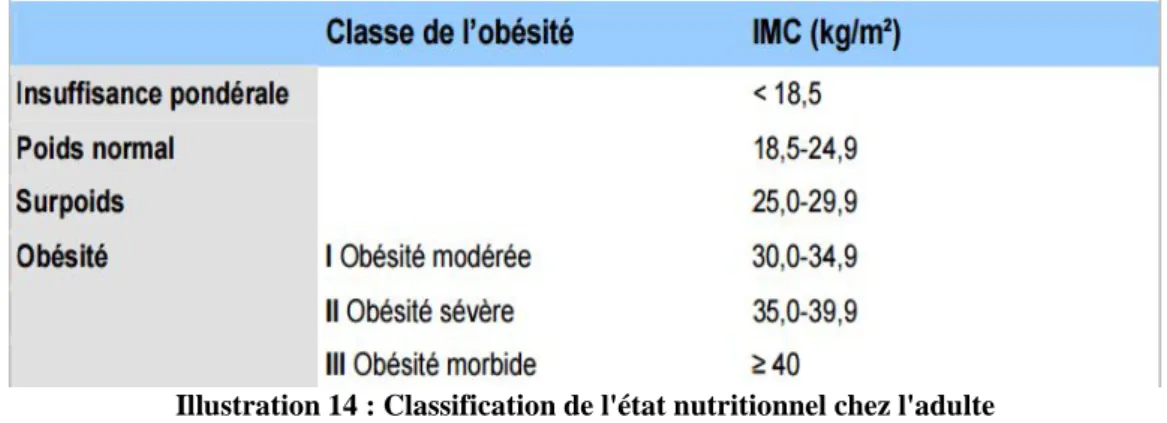 Illustration 14 : Classification de l'état nutritionnel chez l'adulte en fonction del'IMC