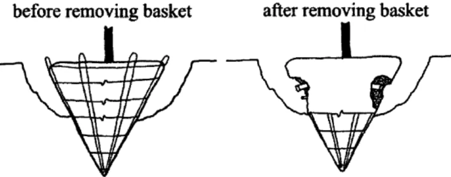Figure 7:  The wire  basket is  removed  near the surface  to  allow  roots to grow  outward and absorb nutrients  close  to  the surface