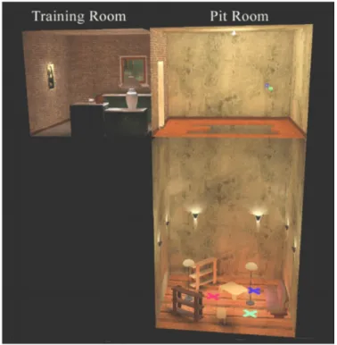 Figure 3.1: Side view of Meehan and colleagues’ virtual environment design. 