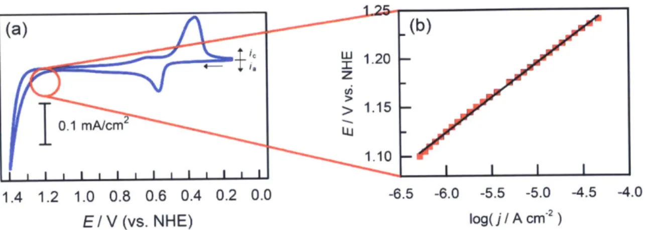 Figure  10. Oxygen  evolution  catalyzed  by a manganese  oxide catalyst film  in 50  mM methylphosphonate  buffer at pH 8