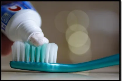 Figure 11: dentifrice appliqué sur une brosse à dents – image  en.wikipedia.org