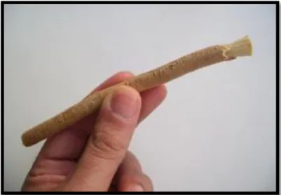Figure 19: prise en main d'un bâtonnet frotte-dents - image  greendeen.blogspot.com