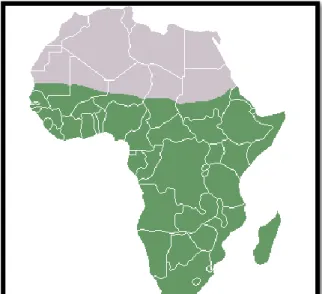 Figure 25: l’Afrique subsaharienne (en vert), zone  géographique où l'on trouve de nombreuses espèces 