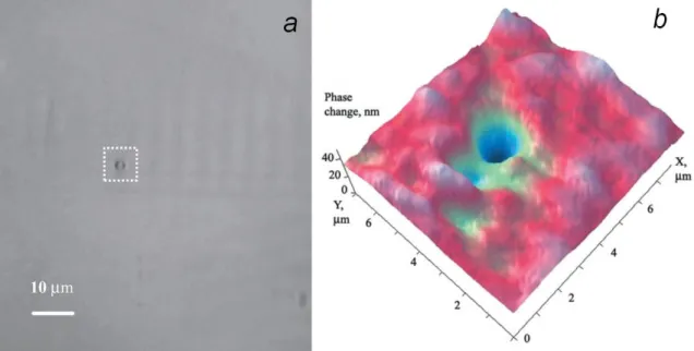 Figure 2.4 a) Micrograph demonstrating spontaneous formation of a micrometer  scale particle in double distilled and filtered non deionized water