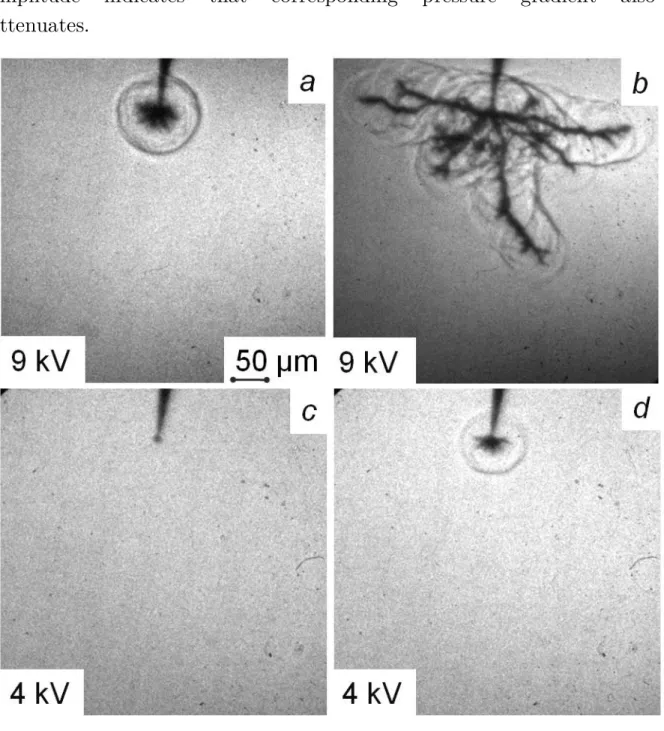 Figure 4.1 Shadowgraphs corresponding to a) slow (bush-like) and d) fast (tree-like)  discharge at 9 kV, c) bubble and d) slow (bush-like) at 4 kV on the pin electrode  and in deionized water (5 µS/cm) as measured 65 ns after application of HV pulse
