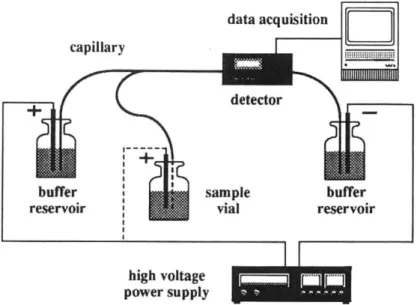 Figure 2.2:  Instrumental set-up  of a capillary  electrophoresis  system.  [2]