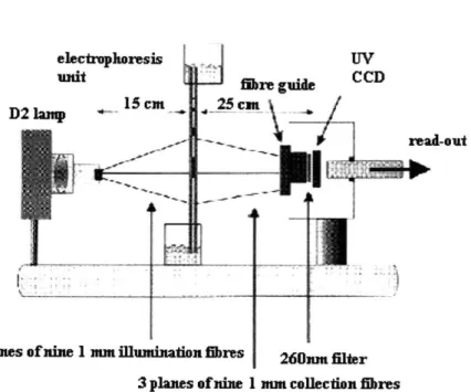 Figure 2.4:  CCD based  DNA  detection  in systems  for electrophoresis  gels.  [9]