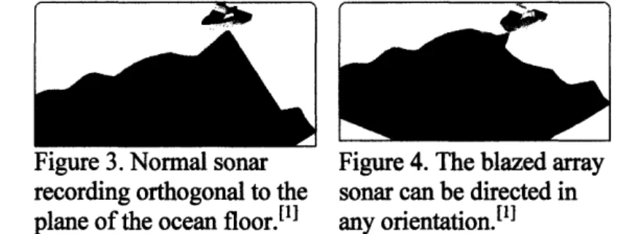 Figure  2.  Blazed Array Sonar l