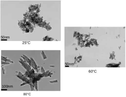 Figure II-19 : clichés TEM de particules de HAp synthétisée à 25, 60 et 80°C 