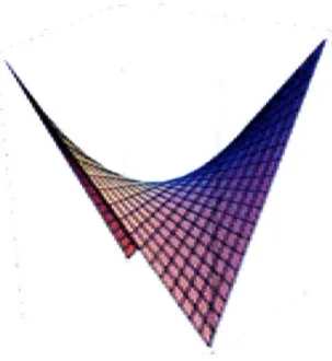 Figure  2.6:  A hyperbolic paraboloid.  Every line is a straight  line that  lies entirely on the surface of the  hyperbolic paraboloid