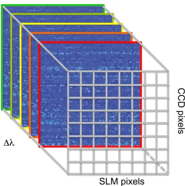 FIGURE 2.6 – Schéma de la matrice de transmission multi-spectrale : représentation de la MTMS comme un tenseur en trois dimensions dont les axes sont fixés par le nombre de pixels en entrée du SLM, le nombre de pixels en sortie de la CCD et le nombre de lo