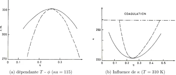 Figure 1.3 – Diagramme de stabilité d’une dispersion colloïdale non-magnétique calculé par Victor et Hansen [137] à partir d’un modèle DLVO traité en perturbation (ici η = φ , A = 2, 5 10 −20 J, 2π 0  r aΨ 2 0 = 8, 3 10 −19 J)