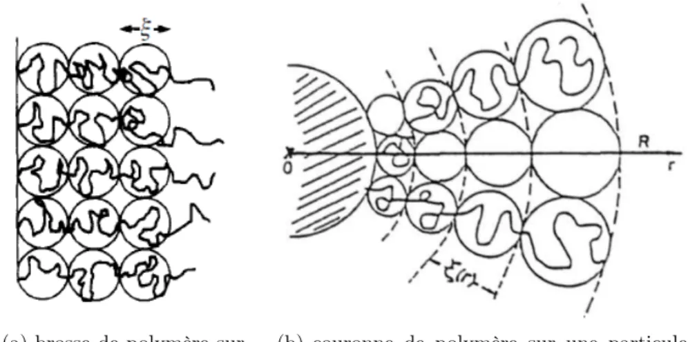 Figure 2.6 – Représentation en blob de brosses de polymère dans différentes géo- géo-métries.
