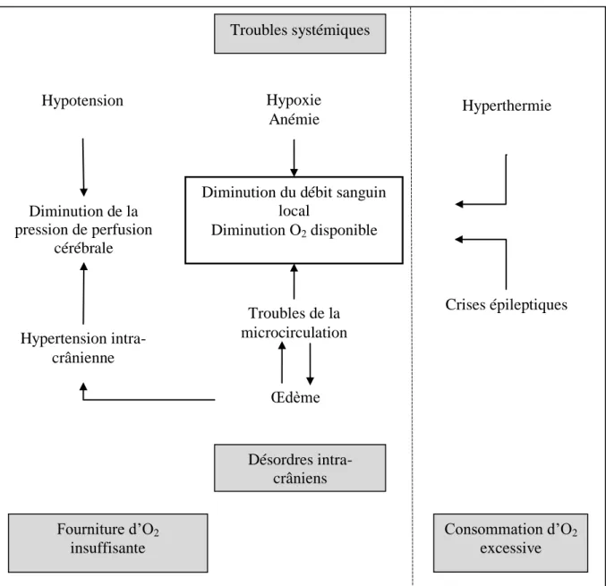 Figure 3 : Genèse de l’ischémie cérébrale (d’après 1) 