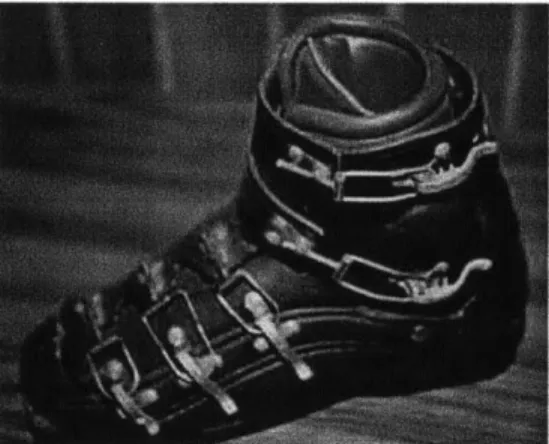 Figure 3:  A ski boot made  by the company Reiker featuring buckles to clamp the boot on the foot