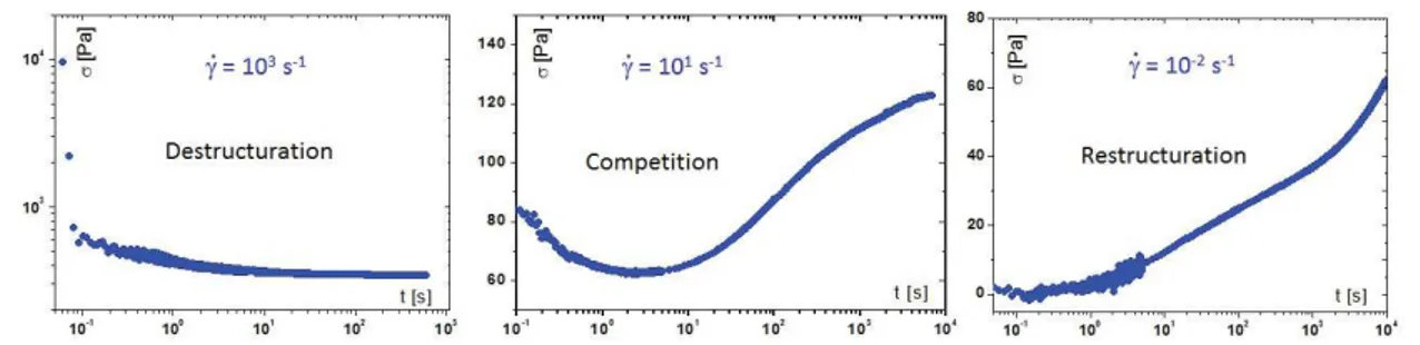 Figure II.13 – Évolution de la contrainte mesurée en fonction du temps, à différents cisaillements imposés, pour une suspension CL.