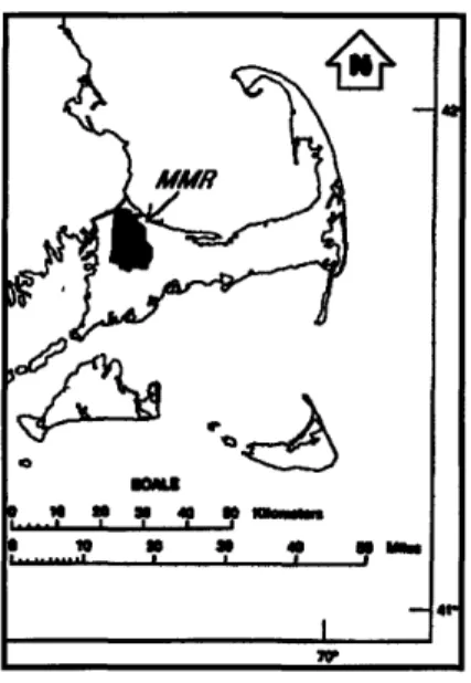 Figure 2-2.  Location  of MMR