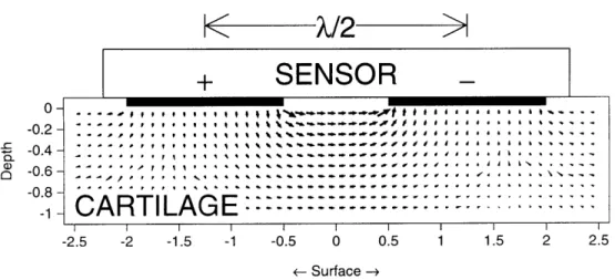 Figure  2-5:  Results  of  a  theoretical  model  showing  the  flow  of  the  current  density coming  from  two  electrodes  on  the  same  side  of the  testing  surface.