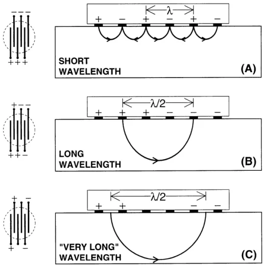 Figure  2-6:  A  variable  wavelength  in-vitro  probe.  Different  polarity  configuration give  different  wavelengths  and  penetrate  at  various  depths  of  the tissue