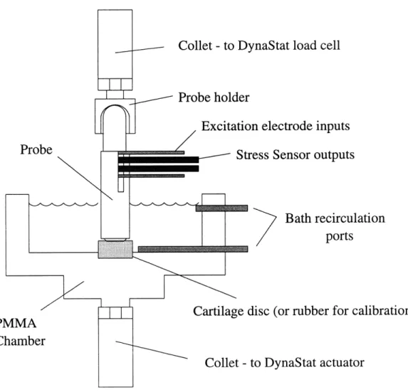 Figure  2-7:  An  experimental  setup  to  test  the  handheld  probe  on  a  disc  of cartilage.