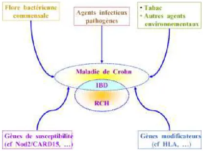 Figure 5 : Interactions multifactorielles des maladies