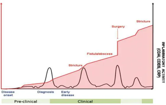 Figure 8 : Evolution de la maladie de Crohn au cours du temps d'après Pariente et al., Inflammatory Bowel Diseases, 2011