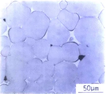 Figure  1.4  The  microstructure  of W- 1 Ni-i Fe  specimen  sintered at  1460  'C  for  5  hours (29).