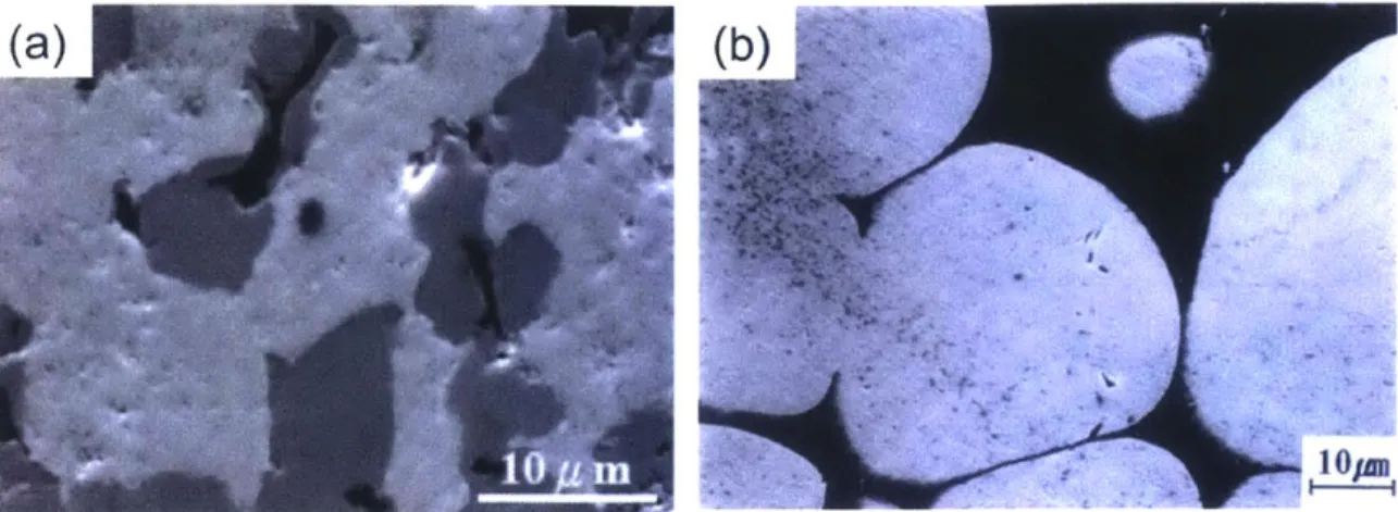 Figure  1.5  The  secondary  electron  images  after  liquid phase  sintering  of (a) 93W-3.5Ni- 93W-3.5Ni-1.5Fe-2.OCo  alloy (30)  and of (b)  93W-5.6Ni-1.4Fe  (32).