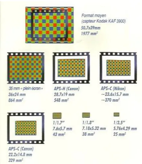 Figure n°19 : Les différents formats des capteurs 