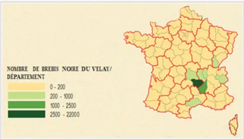 Figure 6: Répartition du nombre de brebis Noire du Velay par département. 