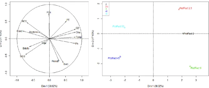 Figure 10 Représentations graphiques de l’ACP révélant les liens entre les différents paramètres et le poids de la  profondeur dans la distribution des différents paramètres