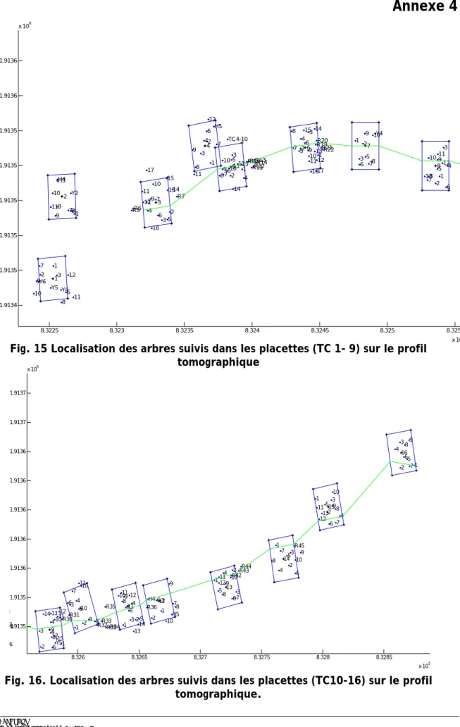 Fig. 15 Localisation des arbres suivis dans les placettes (TC 1- 9) sur le profil  tomographique 