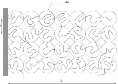 Figure 1.7: Représentation schématique d’une brosse de polymères neutres greffés sur une interface plane : Description d’Alexander et de De Gennes.