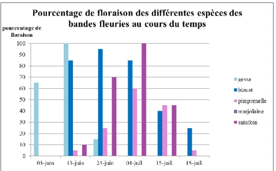 Figure  13 :  suivi  de  la  floraison  des  différentes  espèces  composant  les  bandes  fleuries  pendant la durée de la saison culturale