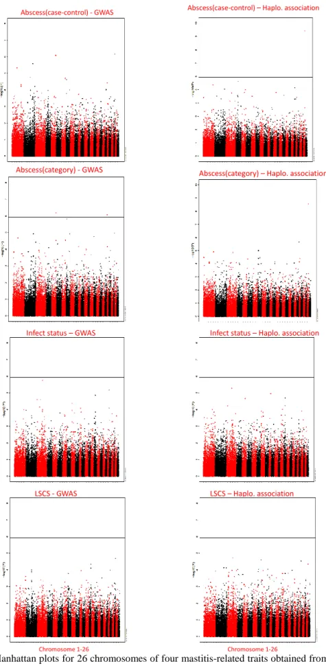 Figure 2. Manhattan plots for 26 chromosomes of four mastitis-related traits obtained from GWAS and  Haplotype-based association