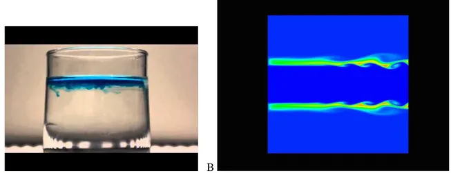 Figure 1. A) Instabilité Rayleigh-Taylor produite en injectant soigneusement de l'eau colorée  chaude dans un verre d'eau froide