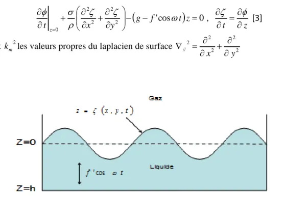 Figure 3. Masse liquide excitée par une oscillation ultrasonique. L’axe Oz est orienté suivant la  verticale descendante